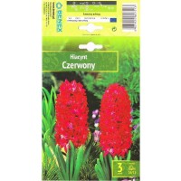 Hüatsint Czerwony
