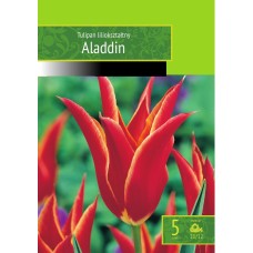 Tulp Alladin