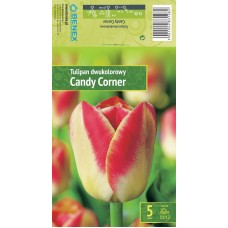 Tulp Candy Corner