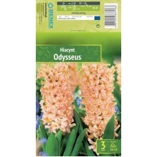 Hüatsint Odysseus