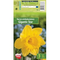 Nartsiss Gigantic Star