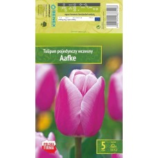 Tulp Aafke