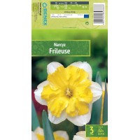 Nartsiss Frileuse
