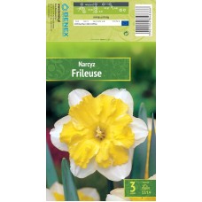 Nartsiss Frileuse