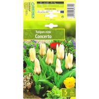 Tulp Concerto