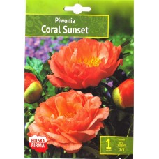 Pojeng 'Coral Sunset'
