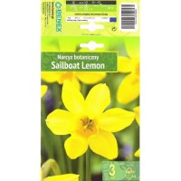Nartsiss Sailboat Lemon