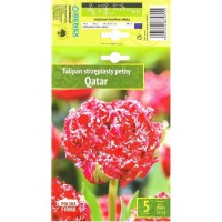 Tulp Qatar