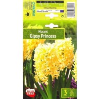 Hüatsint 'Gipsy Princess'