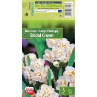 Nartsiss Bridal Crown