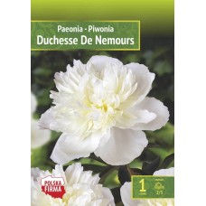 Pojeng 'Duchesse De Nemours'