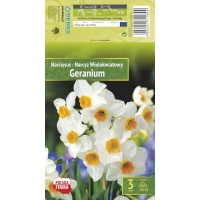 Nartsiss Geranium