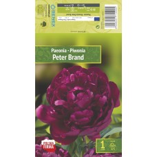 Pojeng Peter Brand