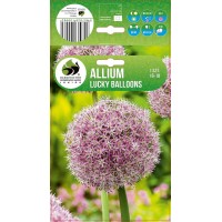 Ilulauk Lucky Balloons