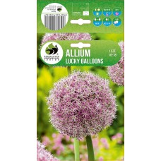 Ilulauk Lucky Balloons