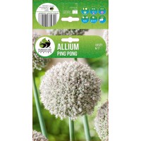 Allium Ping Pong
