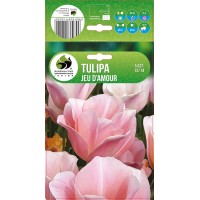Tulp Jeu D'Amour