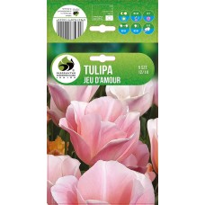 Tulip Jeu D'Amour