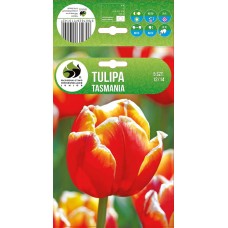 Tulp Tasmania
