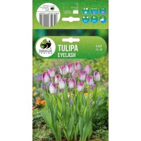 Tulp Eyelash