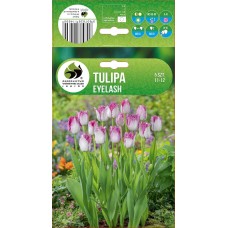 Tulp Eyelash