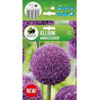 Allium Ambassador