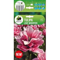 Tulip Love Whispers