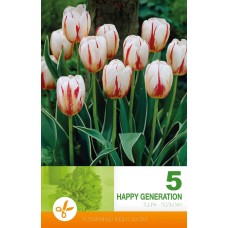 Tulip Happy Generation