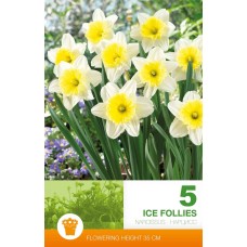 Nartsiss Ice Follies