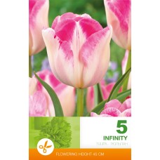 Tulp Infinity